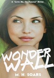 МWonderwall by M.H. Soars