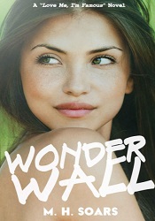 Wonderwall by M.H. Soars