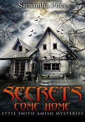 Secrets Come Home by Samantha Price
